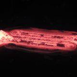 C88K-63 High Efficiency CNC Fully Hydraulic Die Forging Hammer/Forging Press 2.5Tons thumbnail-2