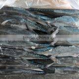 Frozen Hard Tail Scad 60/80 per Carton From China thumbnail-3
