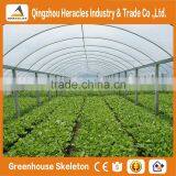 Heracles Trade Assurance Low Cost Greenhouse for Agriculture thumbnail-3