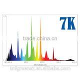 Hydroponics Indoor Grow 1000 Watt Metal Halide 7K Lamp thumbnail-2