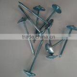 Blue Galvanized Roofing Nails to Indonesia thumbnail-5