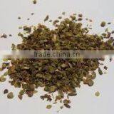 Oregano Oil thumbnail-4