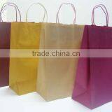 Kraft Paper Bags in Colors / Colorful Paper Bags thumbnail-3