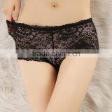 Manufacturer Pictures of Women in Lace Underwear Transparent thumbnail-2