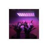 Indoor 50W-EVO Led Grow Light for Hydroponics & Horticulture &greenhouse AC 85 ~ 260V thumbnail-1