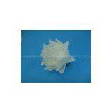 CHRISTMAS FLOWER HH-5523 thumbnail-1