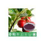 Cranberry Juice Powder thumbnail-1