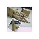 Color Pencil(kraft Paper Box Packed Set)