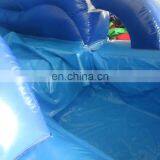 2017 Aier Hot Popular Styles and Fashion Cheap Pvc Dolphin Themed Inflatable Slide thumbnail-5