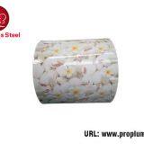 Color Coated Steel Coil thumbnail-1