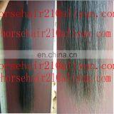 Ebay Horse Tail Hairs / Horsetail Hairs / Horse Hairs thumbnail-4