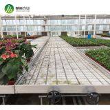 Agricultural 4ft x 8 ft Ebb&flow Benches thumbnail-4