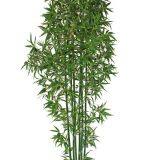 New Product Artificial Bonsai Bamboo Tree With Natural Colour thumbnail-4