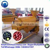 Grain Buffing Machine Red Bean Polishing Machine Rice Polishing Machine thumbnail-4
