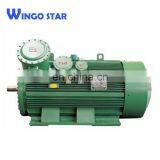 YB2 Series Three Phase Explosion Proof Induction Electric Motor thumbnail-3