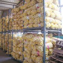 Garlic Hdpe Monofilament Net Bags Lemon Leno Woven Mesh Bags With Label and Drawstring Sacks thumbnail-4