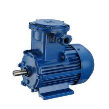 Explosion-proof Motor thumbnail-2