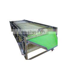 Stainless Steel Fruit Sorting Machine for Sale thumbnail-2