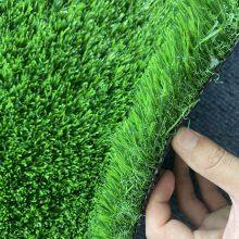 Artificial Turf DS25009 thumbnail-3