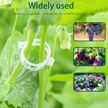 Agricultural Gardening Planting Vine Support Fixing Clip Tomato Fruit Snap Ring Buckle Clips for Plants thumbnail-3
