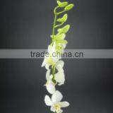 Gift Classical Decor Flower Orchid White thumbnail-1