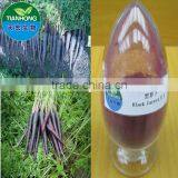 2014 Pure Natural Black Carrot Extract / Anthocyanin 25%