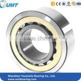 45X85X19 Cylindrical Roller Bearing NJ209