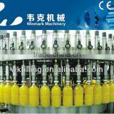 Juice Filling Machine in Plastic Bottle in Zhangjiagang City