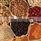 Popular Breakfast Cereal &Corn Flakes Production Line thumbnail-6