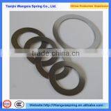 Galvanized Blade Spring Leaf Spring Small Spring thumbnail-6