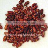 Safflower Kidney Beans