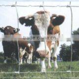 Electric Fence for Cattle thumbnail-5