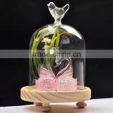 Glass Bell Dome With Wood thumbnail-2