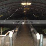 Indoor Fish Farms With Greenhouse thumbnail-1