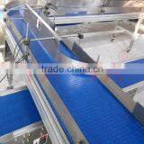 Food Grade Modular Belt Conveyor for Food Production Line thumbnail-3