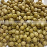High qualityCanned green peas with best price for sale