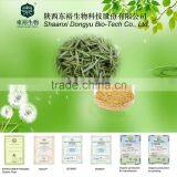 100% Natural Green Tea Extract Catechin With Low Price thumbnail-1