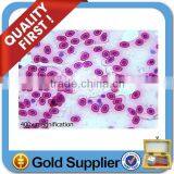 Lab Supply Prepared Microscope Slide thumbnail-1