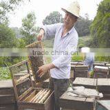 China Wood Frames Beekeeping Equipment Fir Wood Two Levels Beehive,ten Frame Beehive for Apiculture thumbnail-5