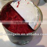 Canned Tomato Paste Brix 28%-30%