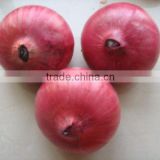2011 Chinese Fresh Yellow Onion,Red Onion