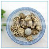 Winter Mushroom, Donko Shiitake Mushroom Spawn thumbnail-5