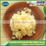 High Quality Japanese Grade Diced Garlic Cube Export to Word Market thumbnail-2