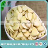 Dried Blanched Apricot Kernel for Chocolate and Macaron