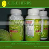 Organic Moringa capsules for export