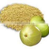 Natural Amla Powder thumbnail-1