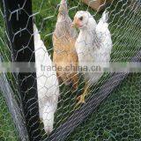 Make to Order Aviary Cages for Bird(manufactory)