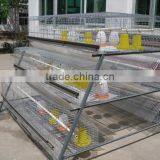 H Type 4 Layer Baby Chicken Cage/ Brooder/ Day Old Chicken Cages For Sale thumbnail-2