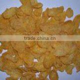 New Design Corn Flakes Extruder Machine thumbnail-5