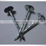 Cheaper Price Galvanized Roofing Nail With Umbrella Head thumbnail-4